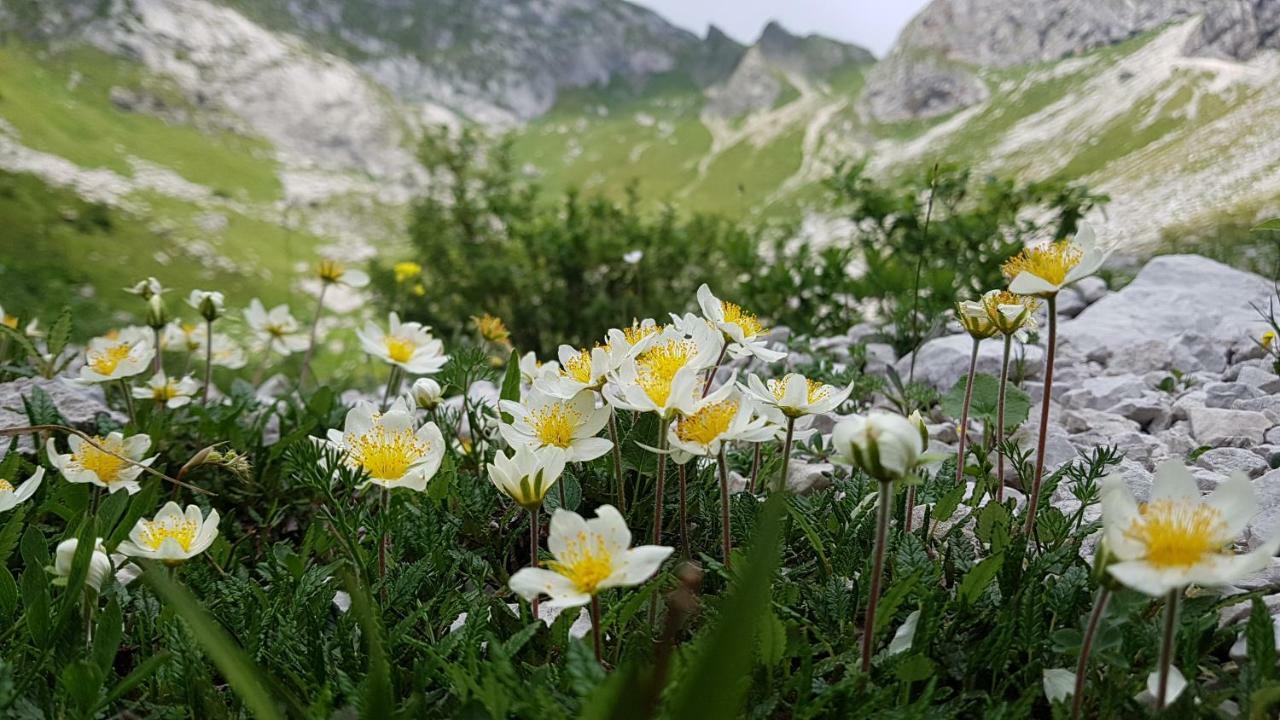 Villa Bezgova Hisica Bovec Exterior foto